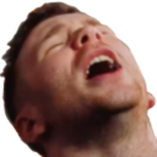 Fox Stevenson and Feint - Everything's Wrong (RedBegins Bootleg) [READ DESC]