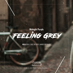 Midnight Purple - Feeling Grey (Desib-L Remix)