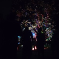 @Rave im Grünen 05.07.2025