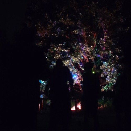 @Rave im Grünen 05.07.2025