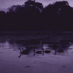 DuckPark (prod.SUZUKKI)