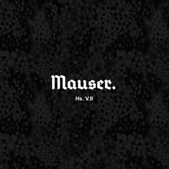 HAUS VOL. II - MAUSER. (J.Dutschke)