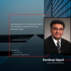 Sandeep Uppal Senior Vice President, Executive Sponsor, CFO and Business Strategist