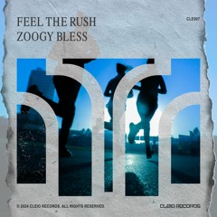ZOOGY BLESS - Feel The Rush (radio edit)