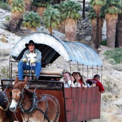 Review Special Price Covered Wagon Adventure & Bbq