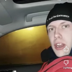 Cashmere - staten Freestyle
