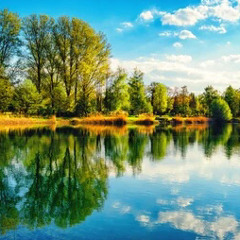 made day after i got fired😂