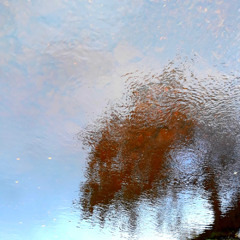 INTO THE MYSTIC  With Glen Granthem  (Van Morrison)