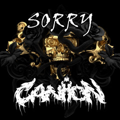 SLWMO x RZRKT x NVRT x Renaux - Sorry vs RUINS vs Dystopia vs Dubstep Headliner (CANIION Mashup)