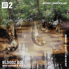 bloodz boi 血男孩 w/ ucstore & 食草人 - nts radio - 10.02.25