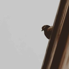 سلوا قلبي _ لأحمد شوقي _ إلقاء_ أسامة الواعظ
