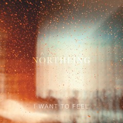 I Want To Feel