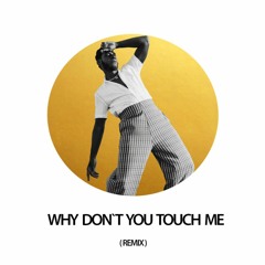 Why Don't You Touch Me (remix)