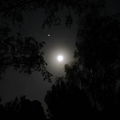 My Heart - (prod. iluvbeingalone)