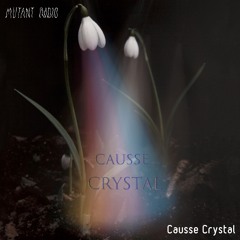 Causse Crystal [13.09.2023]