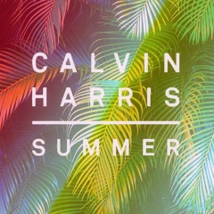 Calvin Harris - Summer ( Mike Evans Remix )