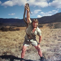 Steve Irwin