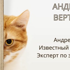 Почему вам обязательно захочется узнать больше об Андрей Вертий | Вирусная тема в России