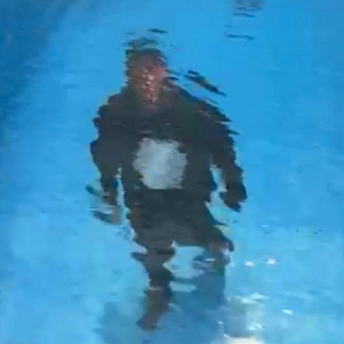 Orpheu The Wizard 031025