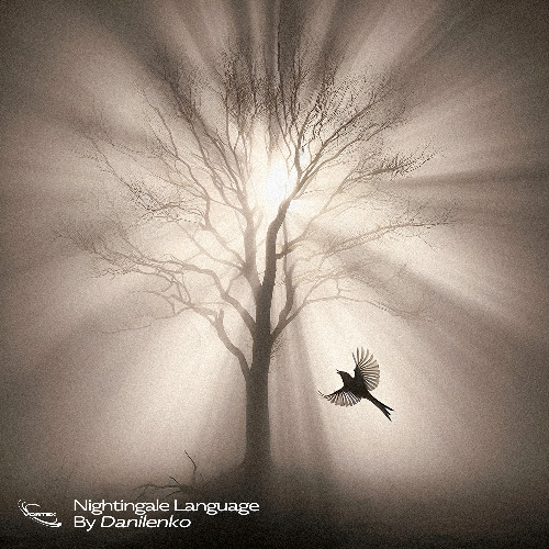 PREMIERE: Danilenko - Right Behind You [VORTEX]