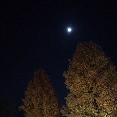 She is a Song (Demo)