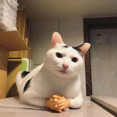 NoBigDyl On The Radar Freestyle