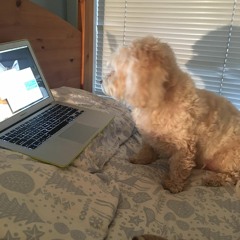 September_19_Maxnoises