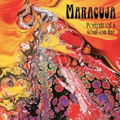 PREMIERE | Maracuja -  Portrait of a Soul on Fire (Gregorio Soave's Remix) [Secret Music] 2023