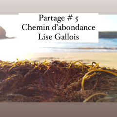 Chemin d’abondance