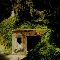 Fort Canby Ambience