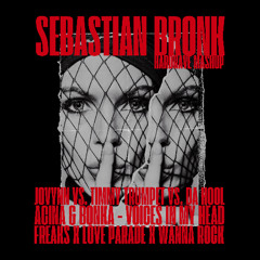 Voices In My Head x Freaks x Love Parade x Wanna Rock [Sebastian Bronk HARDRAVE Mashup]