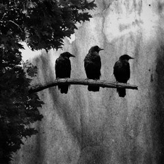 3 Black Crows Ft. Zai + Vonte* (p. Laikky 100prcntx Saintxeri)