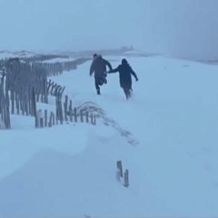 shades of green and blue