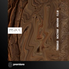 Premiere: F.E.M - Shell - M.E.S Music