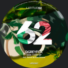 1 - DGreyFox - Don'T Cry (Original Mix)