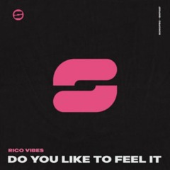Rico Vibes - Do You Like To Feel It (Radio Mix) out now