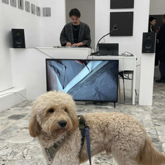 The Breath exhibition part 2 2025 Live