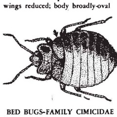 Kid Moon- BedBugs p. bbuggin (DJ EJ EXCLUSIVE)