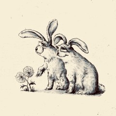 rorrim a si dlrow eht