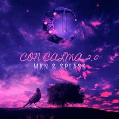 MKN ft SPLASS - Con Calma 2.0