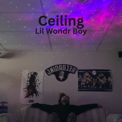 Ceiling (Prod Bayer Gartner)