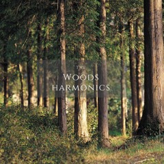 Poetry Beyond the Elements