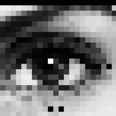 soph or hannah (preview)