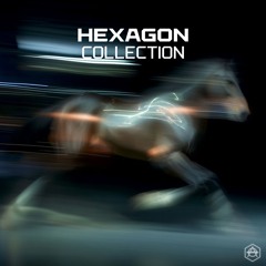HEXAGON Collection