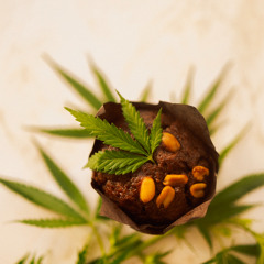 Spanien: Verbot für Edibles mit halbsynthetischen Cannabinoiden