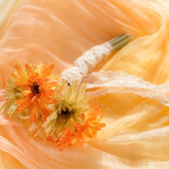 マキシ丈のスカートが靡く間に(6ème anniv.)