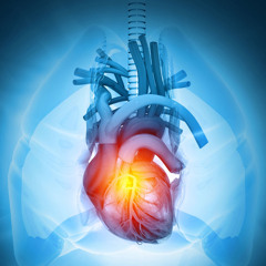 This is the Heart