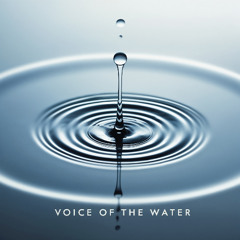 Voice of the Water