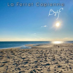La Ferret Capienne  (Remix Fr)