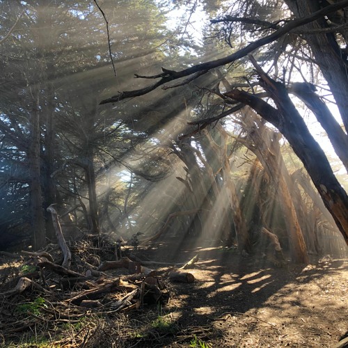 Sea Ranch